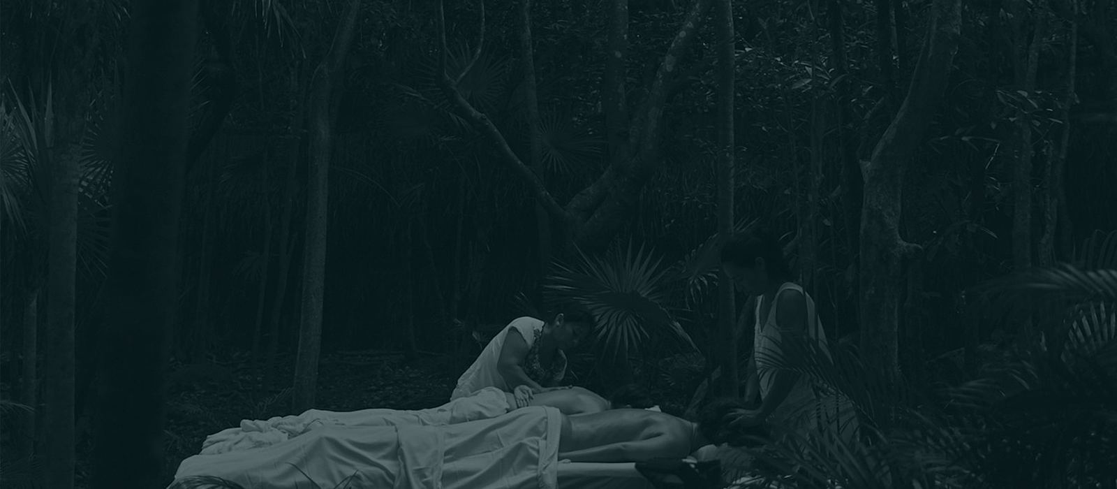 Full Mayan Healing Session